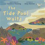 tide pool